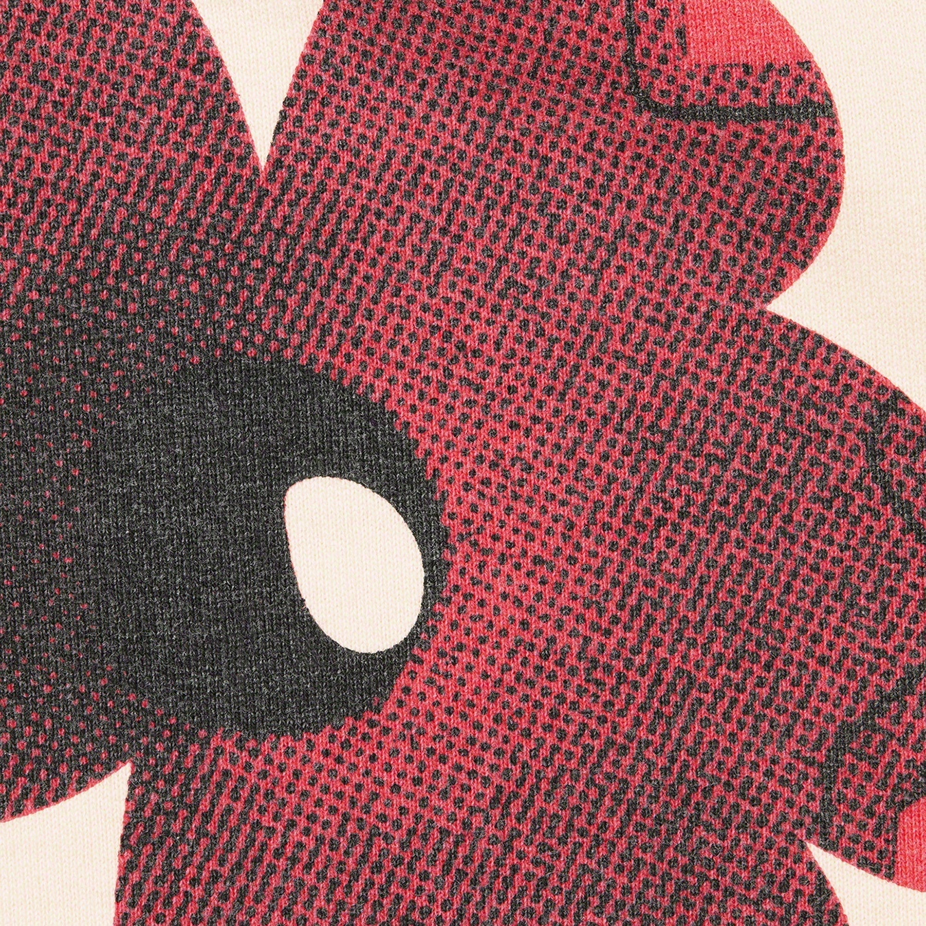 Nate Lowman Hooded Sweatshirt view 3